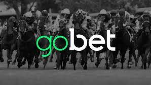 Revisión de GoBet Casino